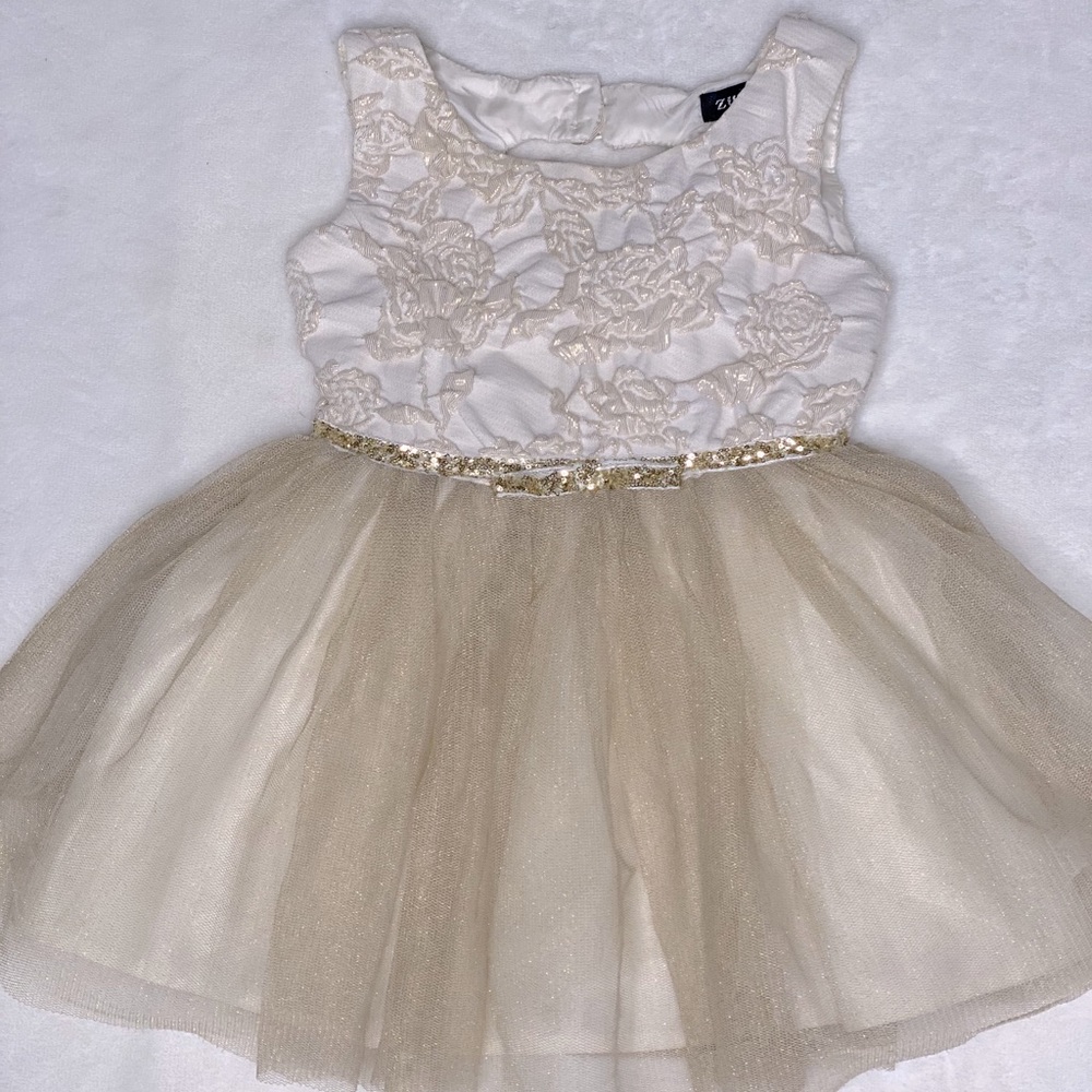 Floral and Tulle Dress 2T